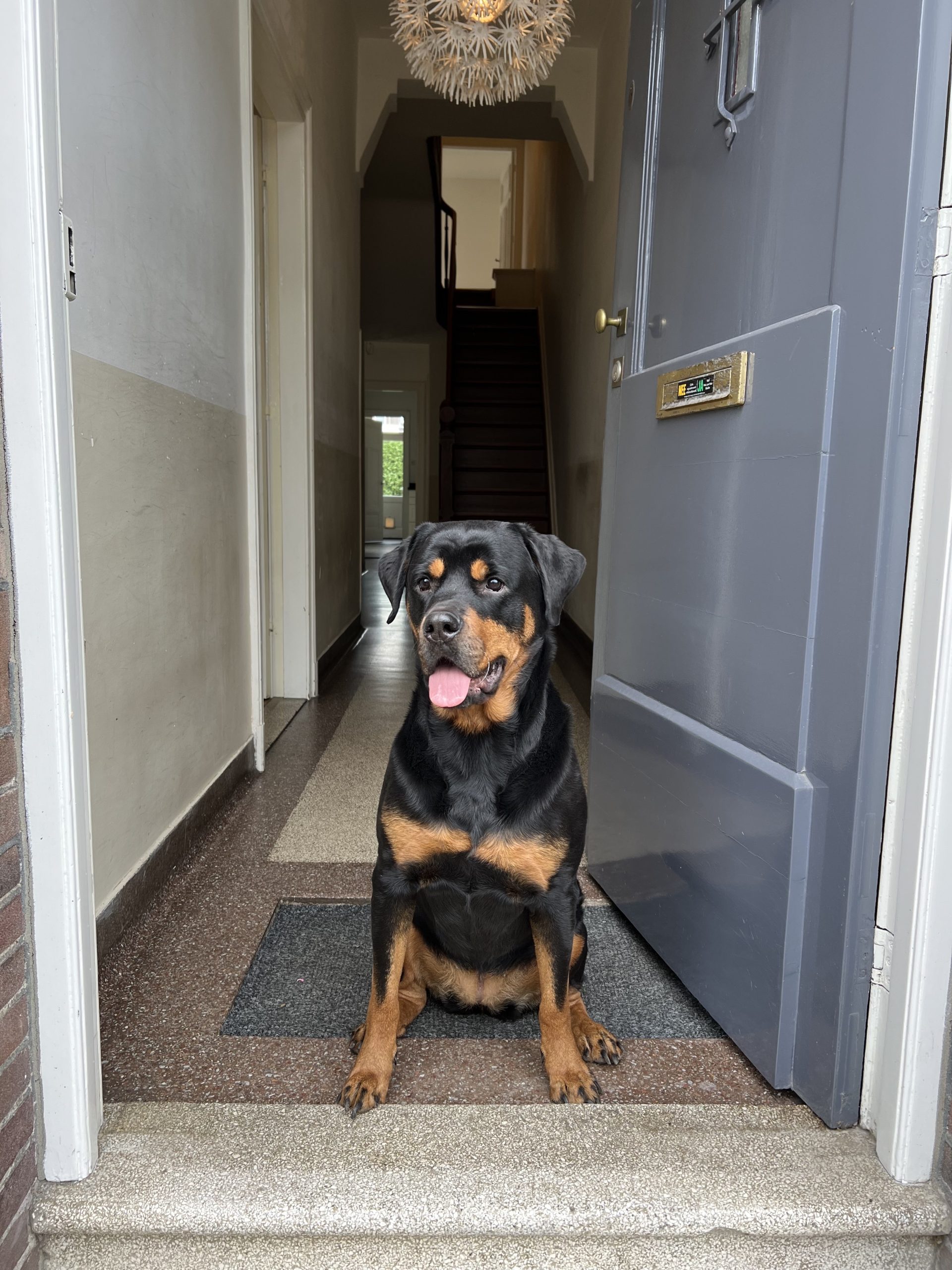 Verbouwen & verhuizen in 7 weken, hoe doe je dat? 